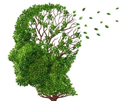 Bạn muốn biết gì về chứng sa sút trí tuệ?